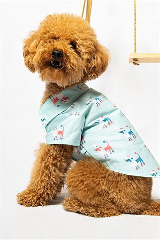 Paw Icons I Am Not A Toy I Am Poodle Dog Shirt