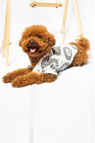 Paw Icons Lion In The Street Dog Shirt