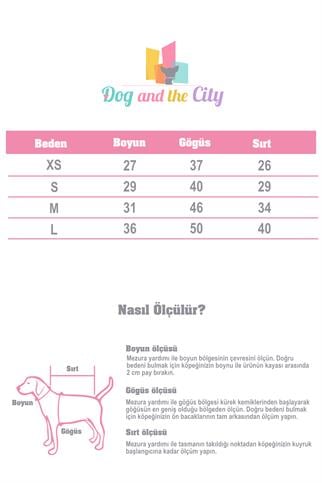 Paw Icons Love Is Found Dog Shirt