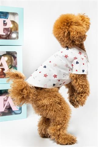 Paw Icons Love Is Found Dog Shirt