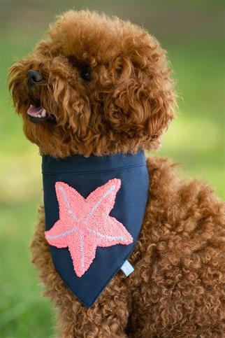Paw Icons Starfish Köpek Bandana