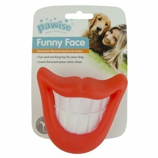 Pawise Vinil Sesli Büyük Diş Köpek Oyuncağı 8x9,5cm (Karışık Renkli)