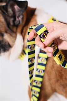 Pawlook Fenerbahçe Licensed Dog Walking Leash, Dog Walking Leash Barred