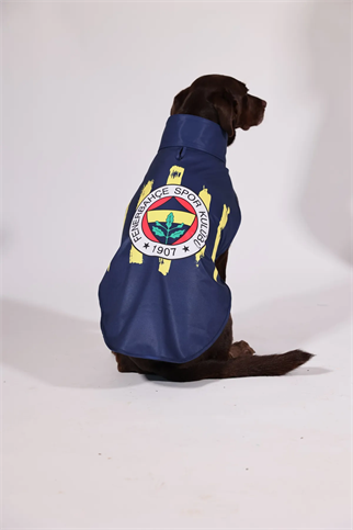 Pawlook Fenerbahçe Licensed Dog Raincoat