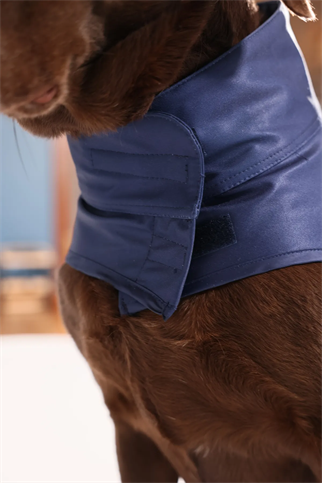 Pawlook Fenerbahçe Licensed Dog Raincoat