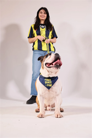 Pawlook Fenerbahçe Licensed Pet Bandana Dog Bandana Dog Bandanas Lantern Fan