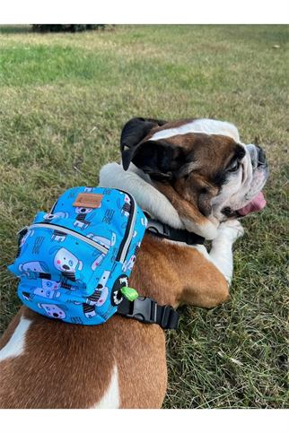Pawlook Dog Harness Backpack Cutedog