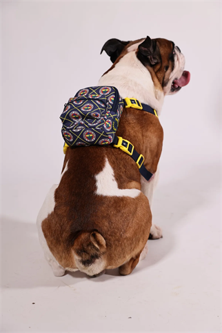 Pawlook Dog Harness Backpack Fenerbahçe Logo Licensed