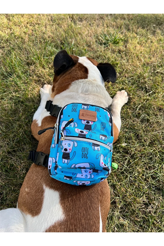 Pawlook Dog Harness Backpack Cutedog