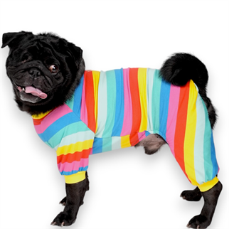 Pawstar Colorfit Penye Köpek Tulum