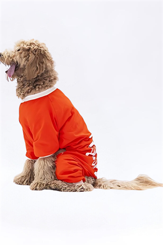 PawStar Turuncu Giraffle Büyük Irk Pijama Tulum
