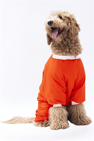 PawStar Turuncu Giraffle Büyük Irk Pijama Tulum