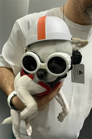 Pet Helmet Mini Açık Köpek Kask Gözlüklü Takım Beyaz - Turuncu (Medium)