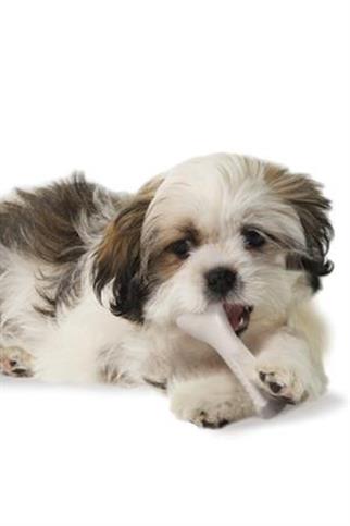 Petstages Deerhorn Antler Alternative Dog Chew Toy Dog ​​Chewing Toy - Xsmall