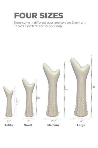 Petstages Deerhorn Antler Alternative Dog Chew Toy Dog ​​Chewing Toy - Xsmall