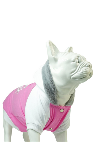 Pink Planet Küçük ve Orta Irk Köpek Pembe Sweatshirt