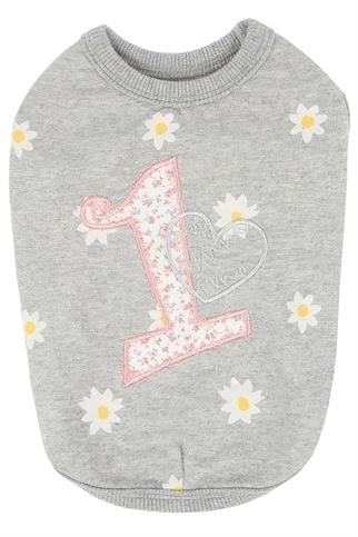 Pinkaholic Amias Köpek T-shirt Gri