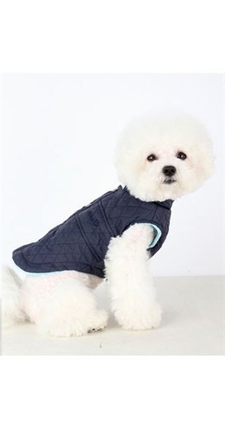 Pinkaholic  Jess Yelek Mont Lacivert