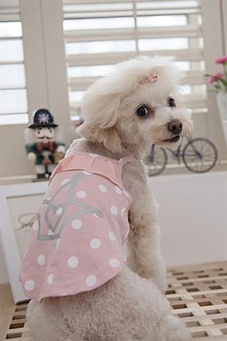 Pinkaholic Sassa Köpek T-Shirt Pembe