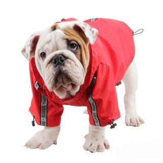 Puppia Base Jumper Dog Railing Red