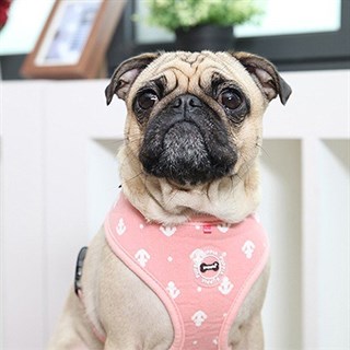 Puppia Ernest Dog Tasma Pink