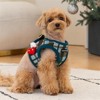 Puppia Festive Harness Green Köpek Göğüs Tasması