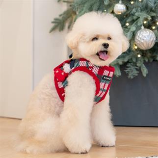 Puppia Festive Harness Red Köpek Göğüs Tasması