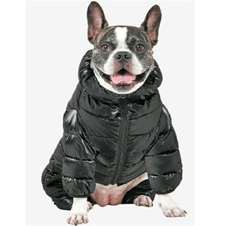 Puppia Glossy All in One Köpek Tulumu Siyah