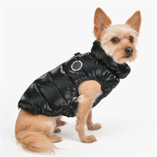 Puppia Glossy Vest Jumper Köpek Tasmalı Mont Siyah