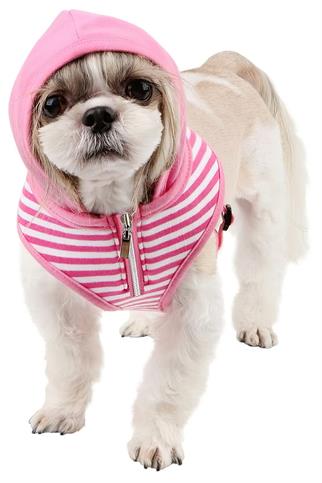 Puppia Halcyon Body Pink Pink