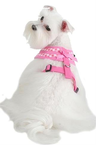 Puppia Lattice Tasma Pink