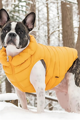 Puppia Puffer Yelek Hardal