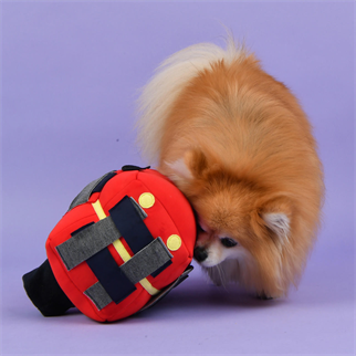 Puppia Pup Otobüs Aktivite Oyuncak