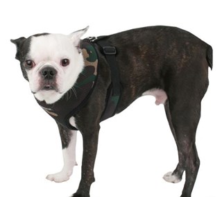 Puppia Soft Köpek Tasma Kamuflaj