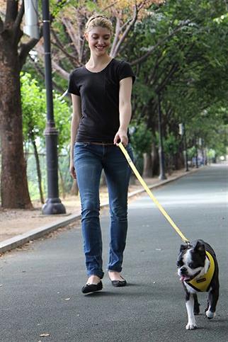 Puppia Soft Dog Tasma Yellow