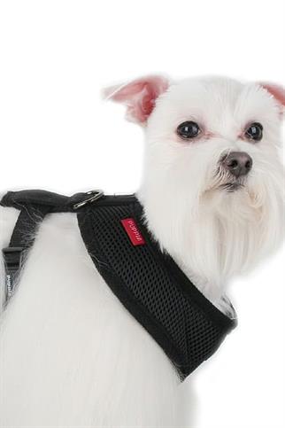 Puppia Soft Dog Tasma Black