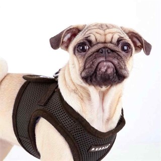 Puppia Soft Vest Dog Vest Betma Brown