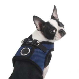 Puppia Soft Vest Köpek Yelek Tasma Lacivert