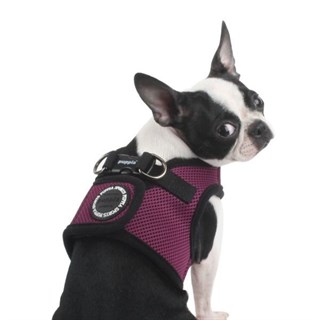 Puppia Soft Vest Köpek Yelek Tasma Mor