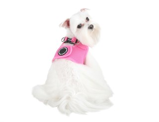 Puppia Soft Vest Köpek Yelek Tasma Pembe