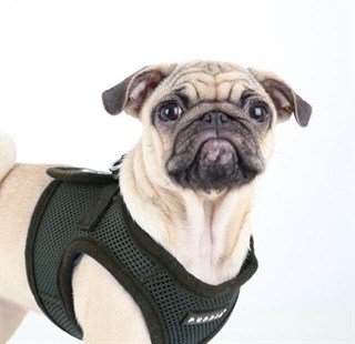 Puppia Soft Vest Dog Vest Base Black
