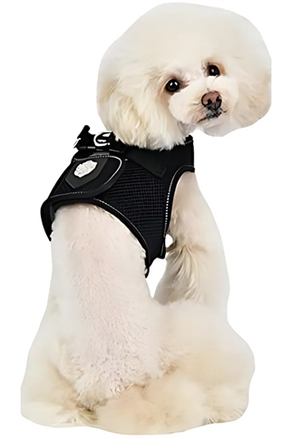 Puppia Termal Tasma Kırmızı