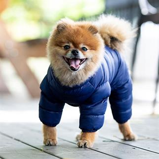 Puppia Ultra Light Jumpsuit A Köpek Tulumu Lacivert