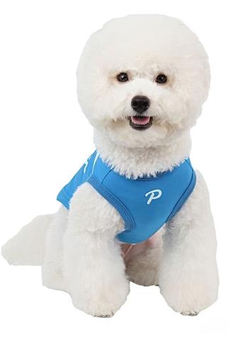 Puppia Worldpup T-Shirt Blue
