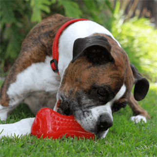 Rogz Köpek Yumz Ödül Oyuncağı Pembe Medium 11,5 Cm