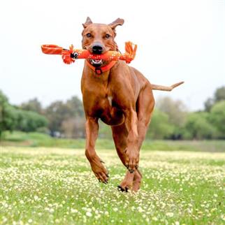 Rogz Scrubz Small Köpek Sesli Oyuncak 30 cm Pembe