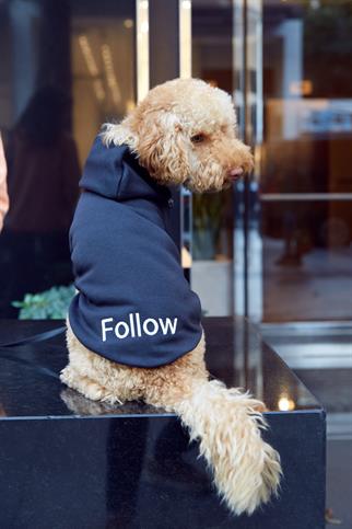 Monido Siyah Köpek Hoodie - 