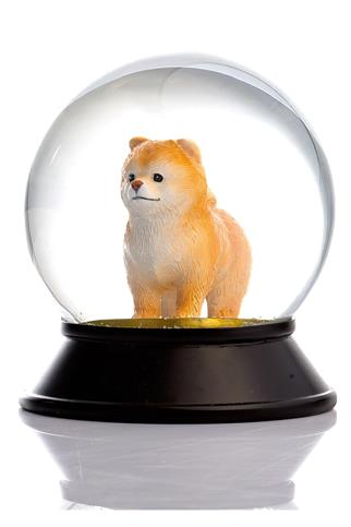 Snoowg Pomeranian Boo Apricot Kar Küresi
