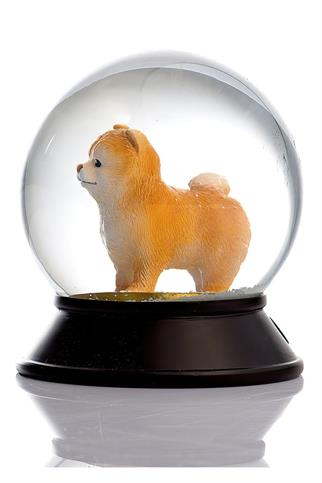 Snoowg Pomeranian Boo Apricot Kar Küresi