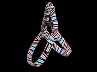 Spaghetti Incident Mini Göğüs Tasması Morso